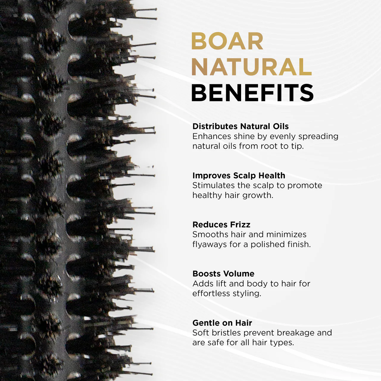 Cocco Black Series Ceramic Boar Brush (Select Size) - Image 3
